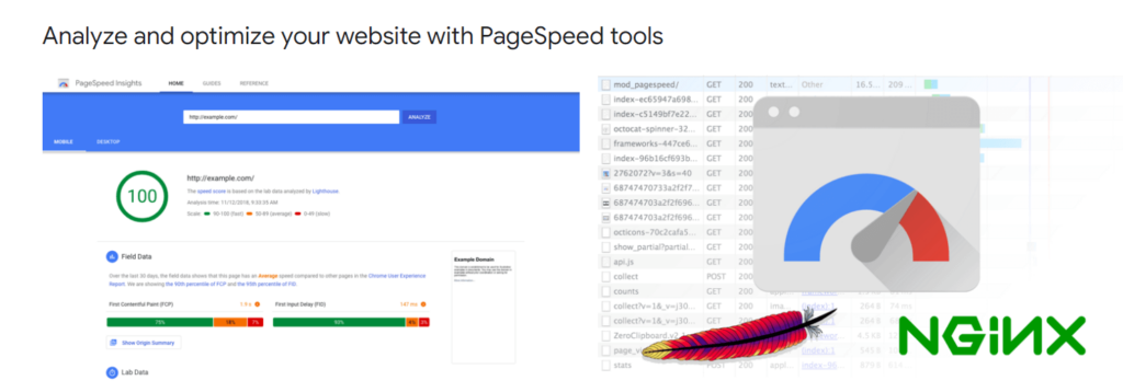 Shopify Seed Optimization: Page Speed Insights